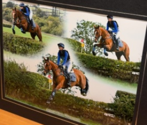 Reliable all rounder/ hunter / team chase horse