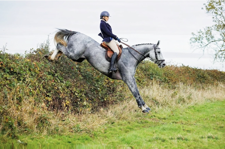 Fun hunter/teamchaser/eventer