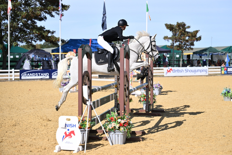 Full Up 148 LHC Talented All Rounder Competition Pony