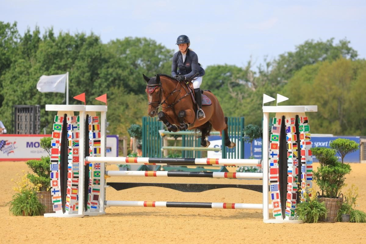 Future Star!! 4yo Christo Z x Contender