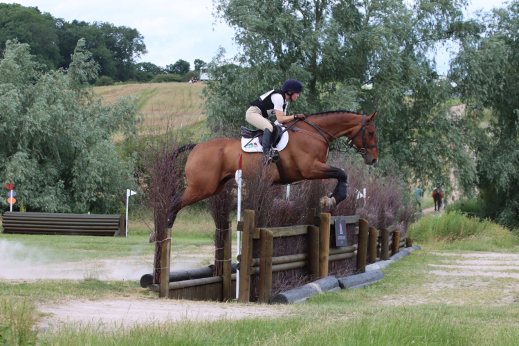 Superstar Hunter / Allrounder