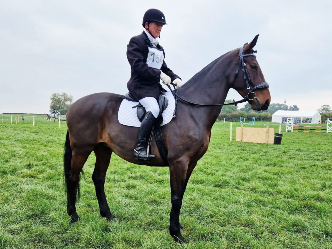 Quality Part Bred Cleveland Mare