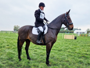 Quality Part Bred Cleveland Mare