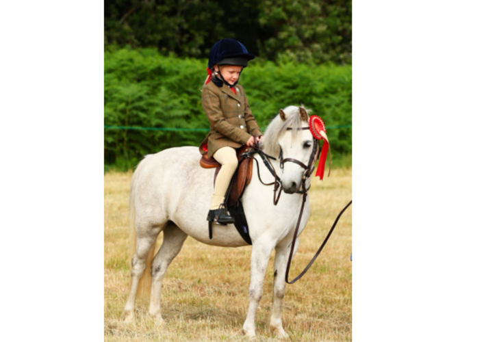 Rhosbrenin Blodyn Haf- Lead rein / Second ridden - 11.2hh | 8 | Welsh section A dappled grey totally stunning Mare