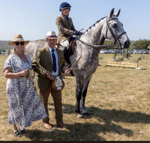 Mannerly Hunter / showing/ eventing alrounder