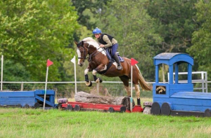 Genuine and willing mare