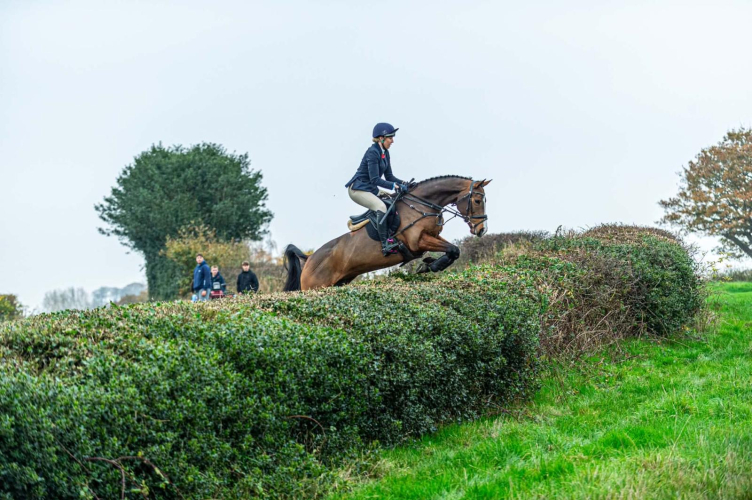 Gorgeous 9yo mare with outstanding technique
