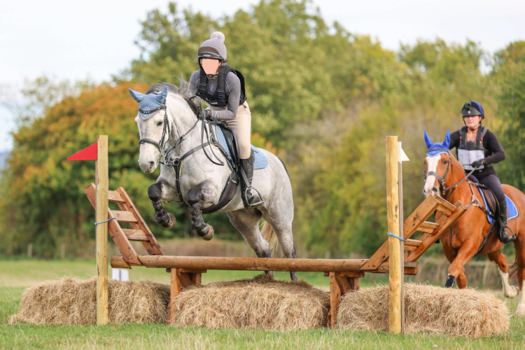 Super fun sporty pony.