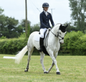 Dressage/PC Regional Event Pony 