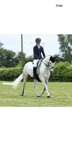 Dressage/PC Regional Event Pony