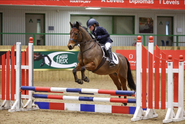EDDIE – YOUR IDEAL PONY CLUB PONY