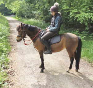 Loving family pony