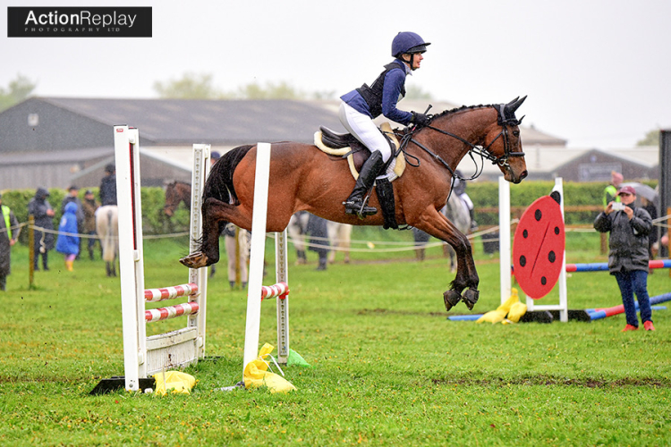 16h Gelding ROR eligible