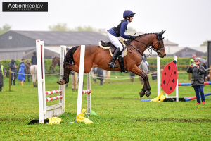 16h Gelding ROR eligible