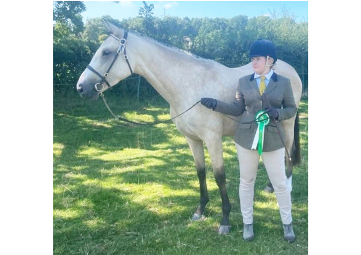 Beautiful Buckskin Bred to Event