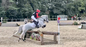 Super Fun Pony Club Pony