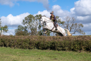  Stunning Oldenburger Gelding & Experienced Hunter