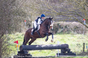 Top Class Hunter For Sale