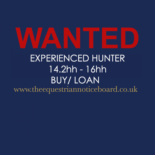 WANTED  Experienced hunter14.2-16hh buy/loan