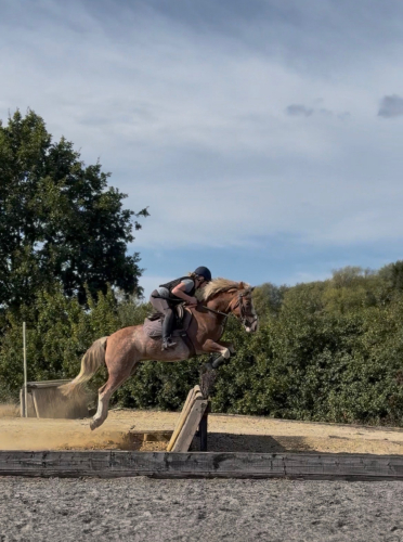 Greigiau Spring Bouncing Queen (Cherry Pop)