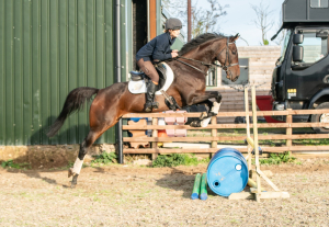 Classy event type mare