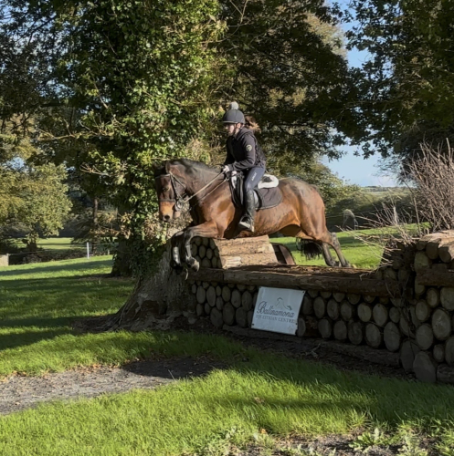 Fantastic experienced pony