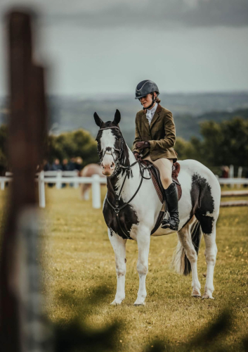 Quality 14.2HH all rounder