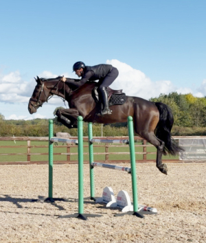 Superstar Eventer/hunter