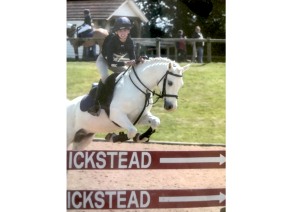 Competition and Pony Club Pony