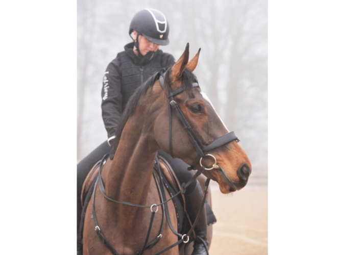 **Smart Thoroughbred ready for a new home**