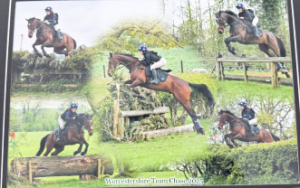 Perfect eventer/sj 