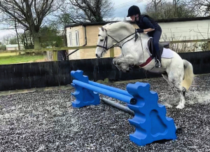 Loan or Sale 12.2 hh Welsh Type Pony