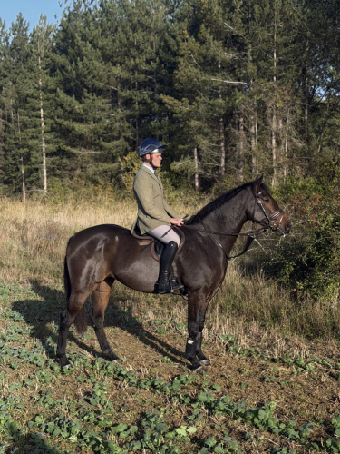 FUTURE SUPERSTAR EVENT HORSE/HUNTER