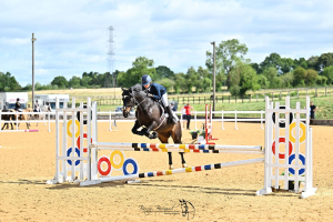 The ultimate Pony Club and NSEA pony