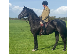 HUNTER / ALLROUNDER