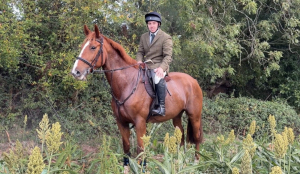 Hunter / Hack / Allrounder 