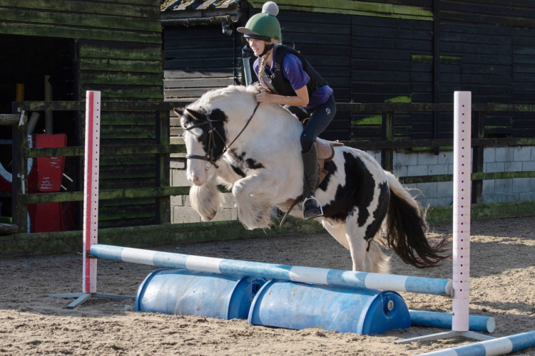 Super pony club pony/ potential top show pony