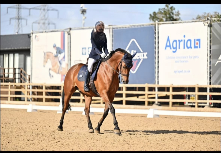 Dressage allrounder with lots of potential