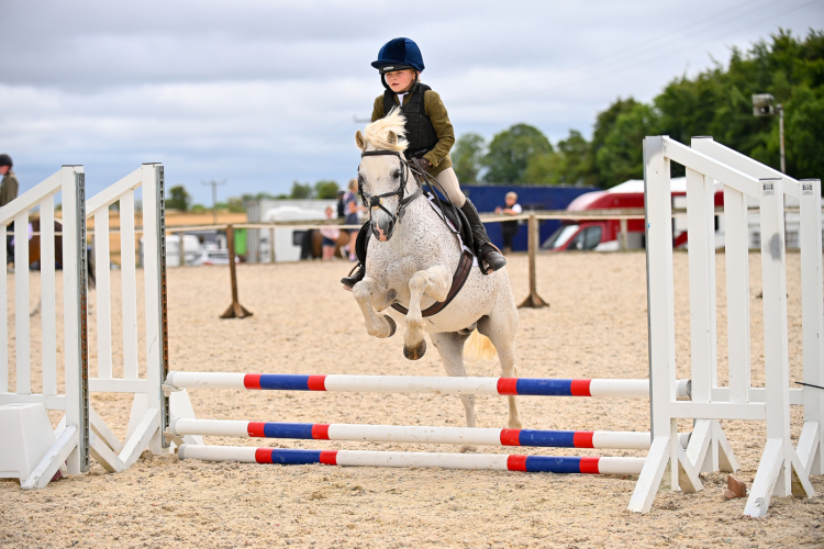 PC all rounder 12.2h Welsh pony