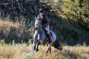 Hunt Pony / Pony Club Pony / Mother Daughter Share