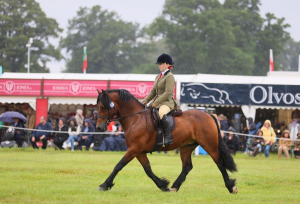 Stunning Welsh D