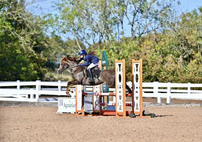 ideal first competition pony/pony club allrounder