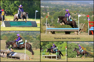 Fantastic hunt/ PC/ SJ/ hack Pony