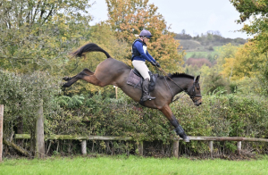 Connie x WB Allrounder