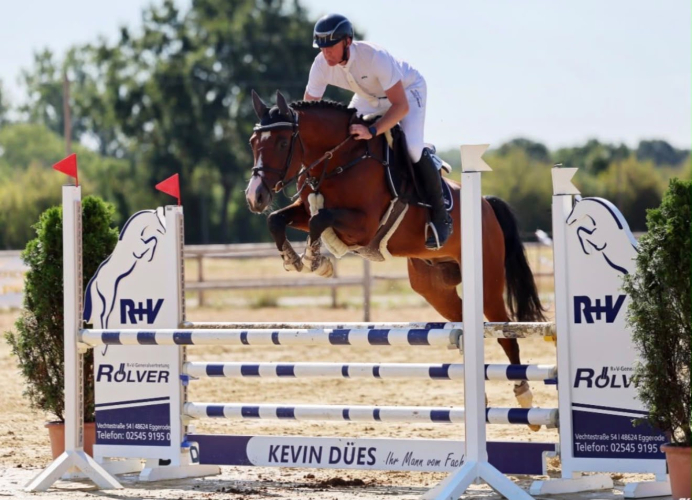Talented Showjumper with a big future ahead