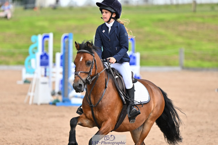 Whizzy 128 jumping pony