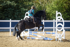 WANTED - Full Time Groom / Mothers Help - Aston le walls, Northamptonshire