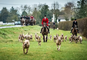 Wanted - Second Groom - Ledbury Hunt 