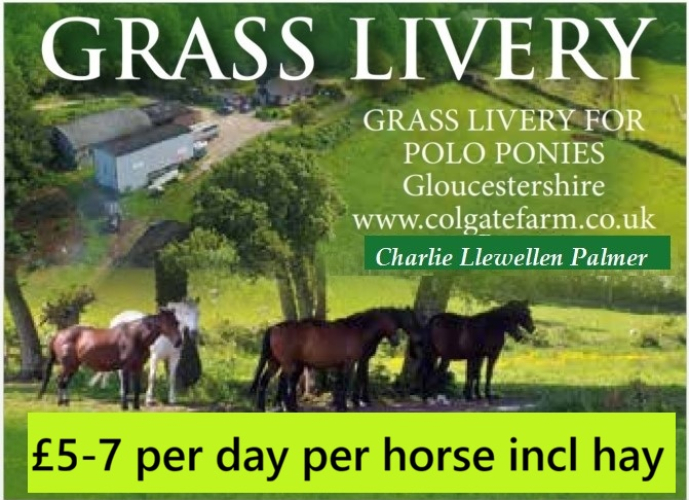 Grass Livery