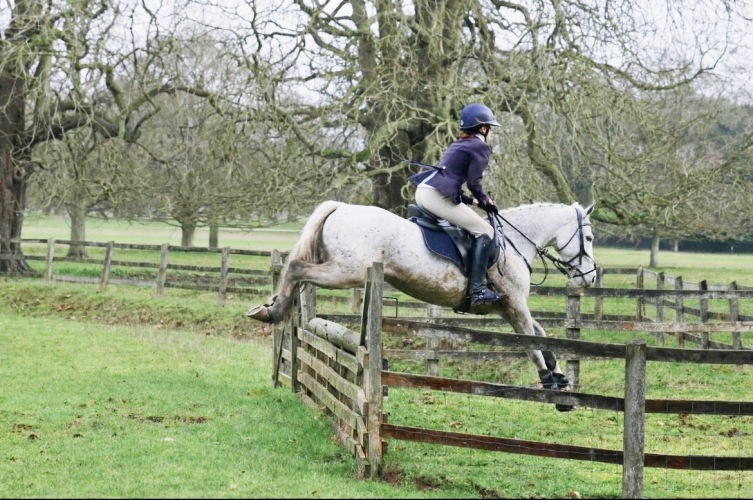 15hh, 12 year old Connemara Gelding